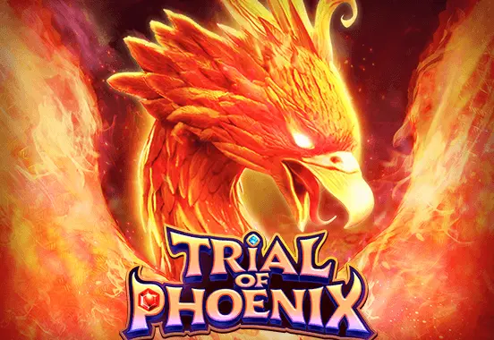 TRIAL PHOENIX